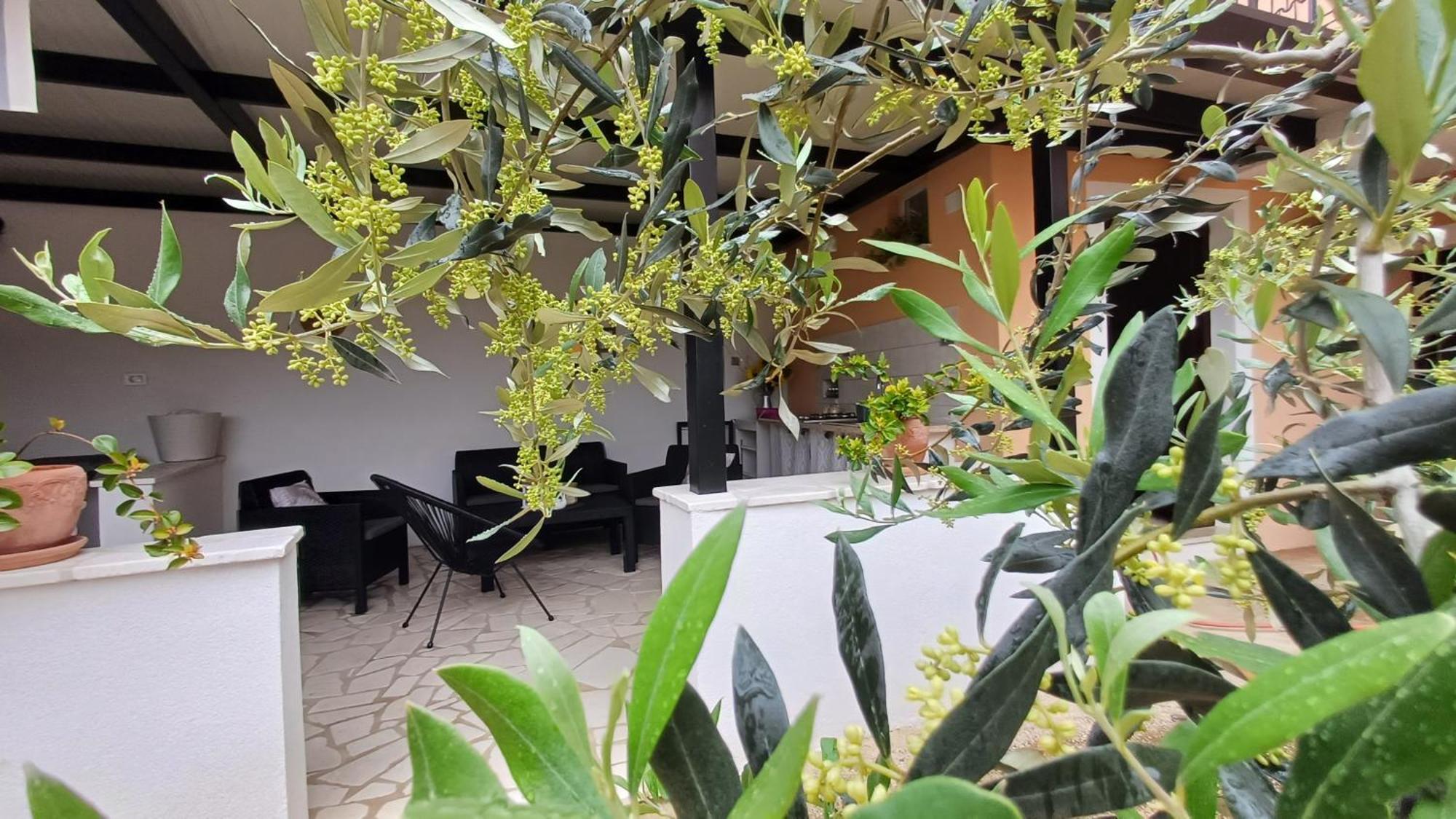 Apartmán Casa Simeti Poreč Exteriér fotografie